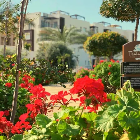 Great Seaview Appartments In Thalassa Vokolidha