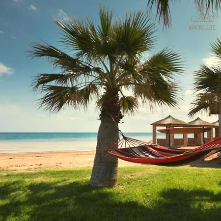 Great Seaview Appartments In Thalassa *