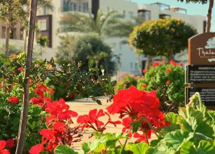 Great Seaview Appartments In Thalassa Vokolidha