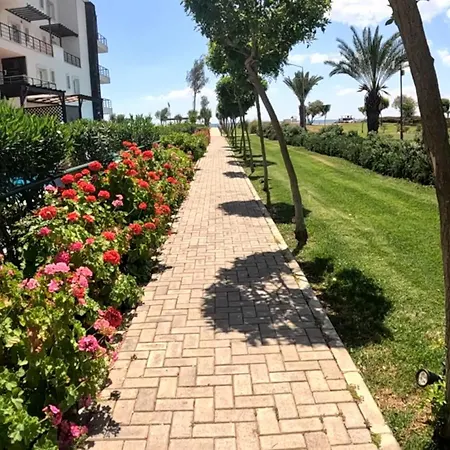 Great Seaview Appartments In Thalassa דירה *